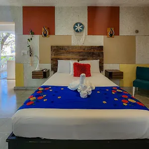 book here